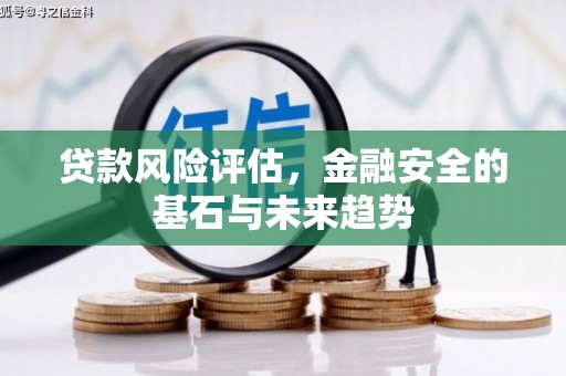 临淄贷款风险评估，金融安全的基石与未来趋势