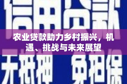 临淄农业贷款助力乡村振兴，机遇、挑战与未来展望