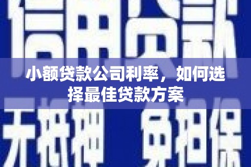 临淄小额贷款公司利率，如何选择最佳贷款方案
