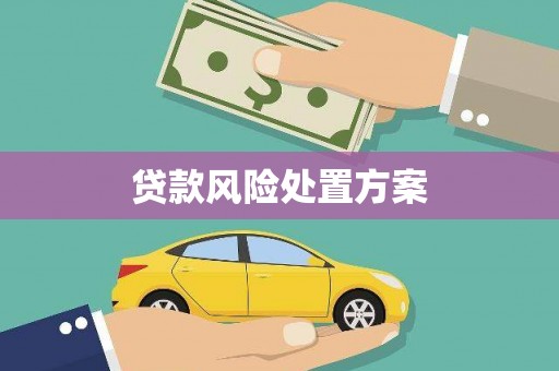 临淄贷款风险处置方案