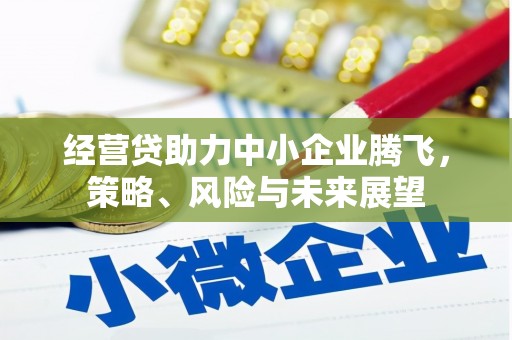 临淄经营贷助力中小企业腾飞，策略、风险与未来展望