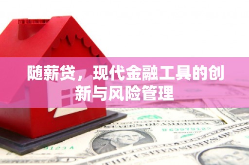 临淄随薪贷，现代金融工具的创新与风险管理