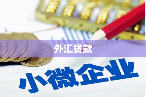 临淄外汇贷款
