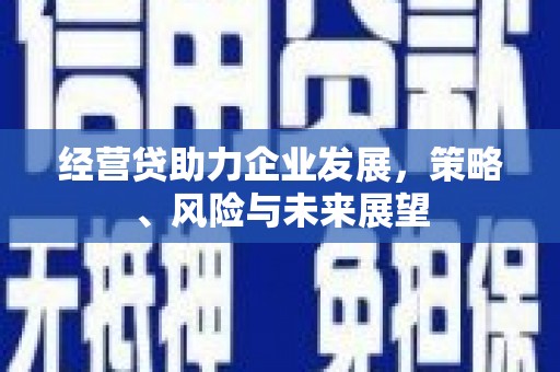 临淄经营贷助力企业发展，策略、风险与未来展望