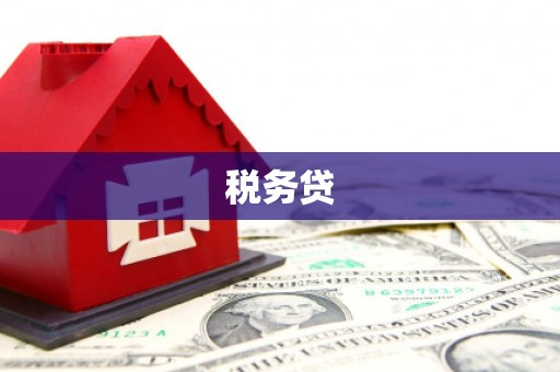 临淄税务贷