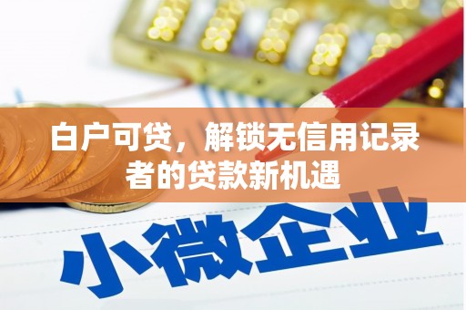 临淄白户可贷，解锁无信用记录者的贷款新机遇