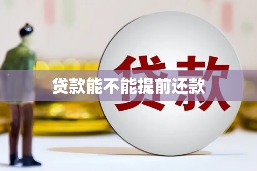 临淄贷款能不能提前还款