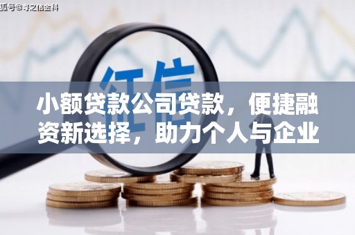 临淄小额贷款公司贷款，便捷融资新选择，助力个人与企业成长
