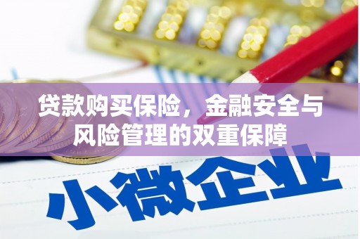 临淄贷款购买保险，金融安全与风险管理的双重保障