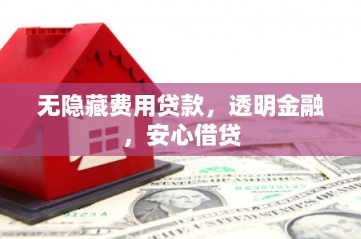 临淄无隐藏费用贷款，透明金融，安心借贷