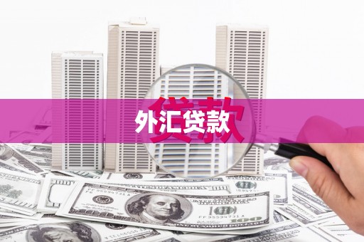 临淄外汇贷款