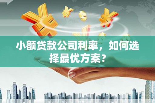 临淄小额贷款公司利率，如何选择最优方案？