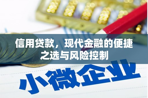 临淄信用贷款，现代金融的便捷之选与风险控制