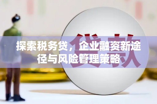 临淄探索税务贷，企业融资新途径与风险管理策略