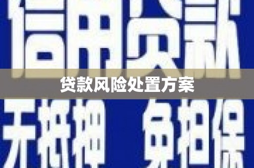 临淄贷款风险处置方案