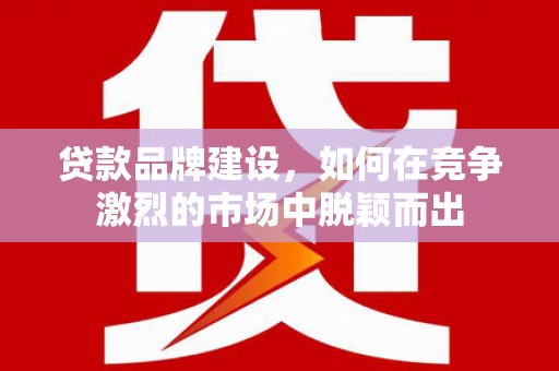 临淄贷款品牌建设，如何在竞争激烈的市场中脱颖而出
