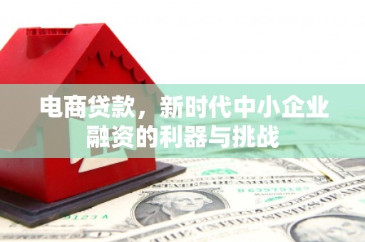 临淄电商贷款，新时代中小企业融资的利器与挑战