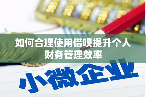 临淄如何合理使用借呗提升个人财务管理效率