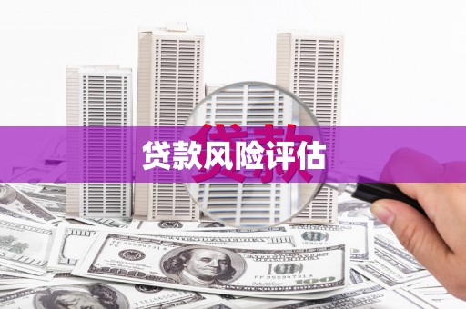临淄贷款风险评估