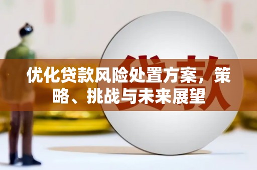 临淄优化贷款风险处置方案，策略、挑战与未来展望