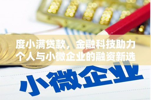 临淄度小满贷款，金融科技助力个人与小微企业的融资新选择