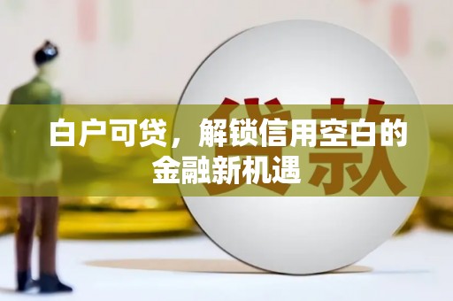 临淄白户可贷，解锁信用空白的金融新机遇