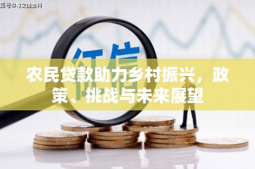 临淄农民贷款助力乡村振兴，政策、挑战与未来展望