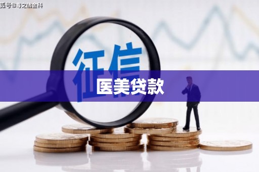 临淄医美贷款