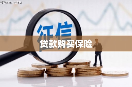 临淄贷款购买保险