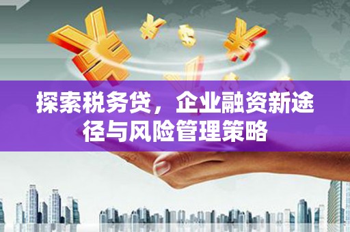 临淄探索税务贷，企业融资新途径与风险管理策略