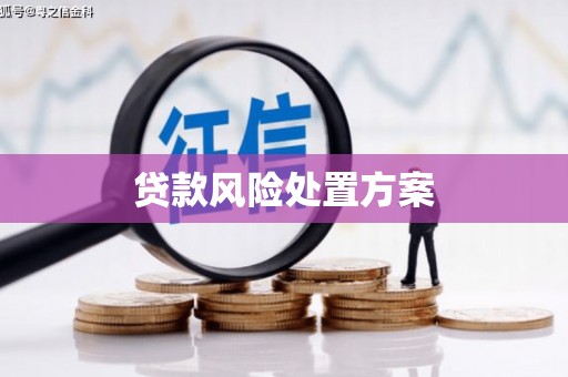 临淄贷款风险处置方案