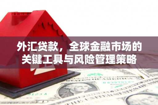 临淄外汇贷款，全球金融市场的关键工具与风险管理策略