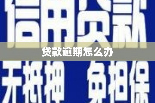 临淄贷款逾期怎么办