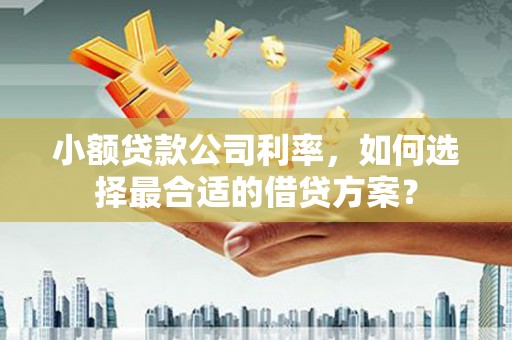 临淄小额贷款公司利率，如何选择最合适的借贷方案？