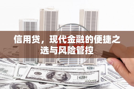 临淄信用贷，现代金融的便捷之选与风险管控