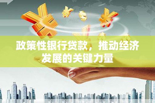 临淄政策性银行贷款，推动经济发展的关键力量