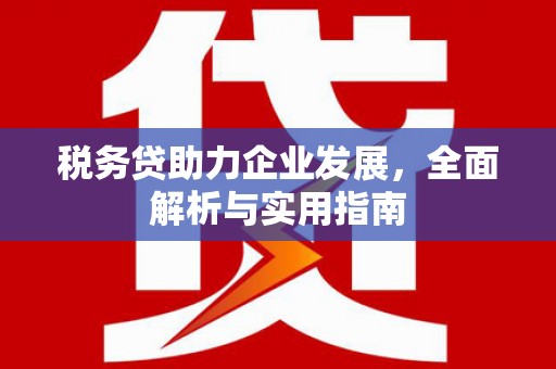 临淄税务贷助力企业发展，全面解析与实用指南