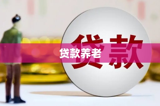 临淄贷款养老