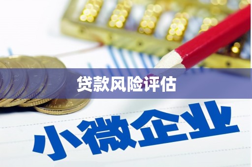 临淄贷款风险评估
