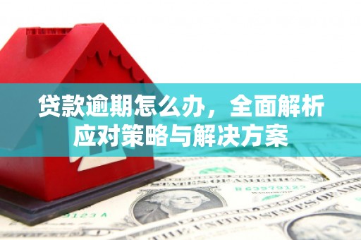 临淄贷款逾期怎么办，全面解析应对策略与解决方案
